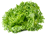 Vegetables-2.png
